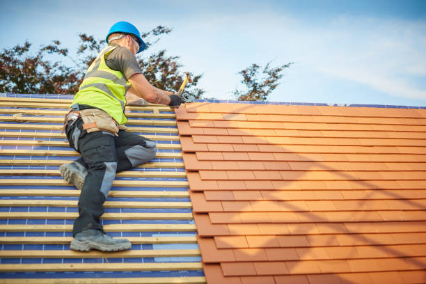 Best Rubber Roofing (EPDM, TPO)  in Leoti, KS